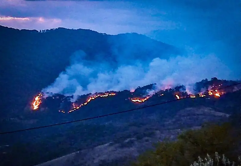 incendio-forestal