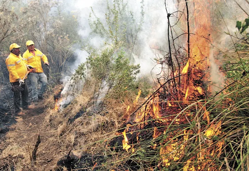 incendio-forestal