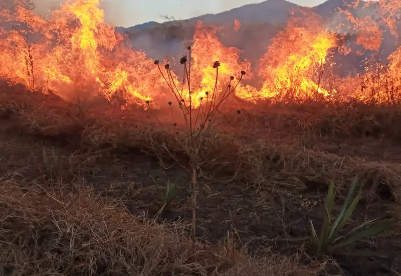 incendio_forestal