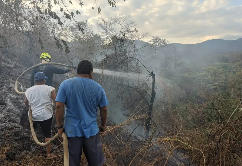 incendio-forestal