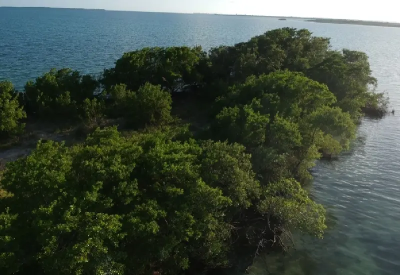 isla_coffe_caye