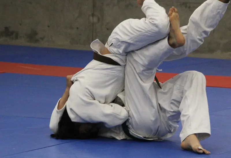 judo