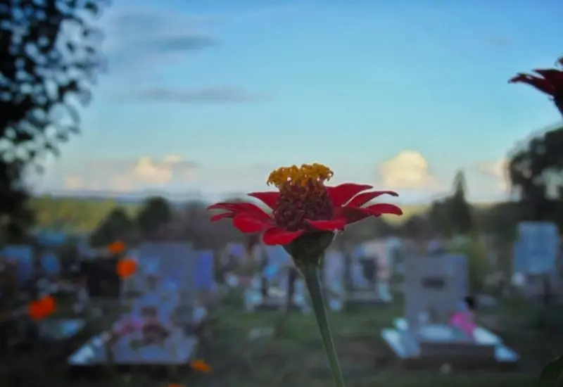 cementerio