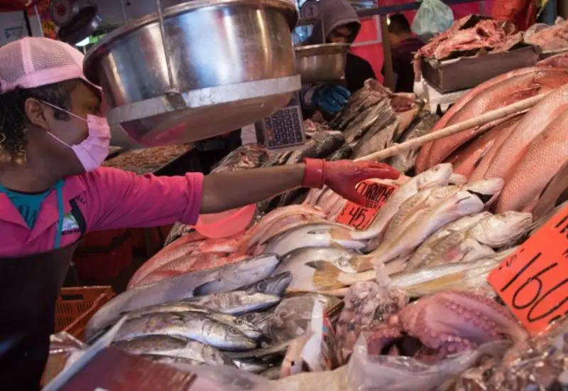 pescado-venta-mexico 