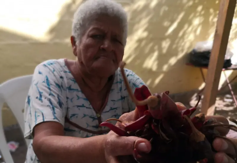cocinera-tradicional-de-oaxaca