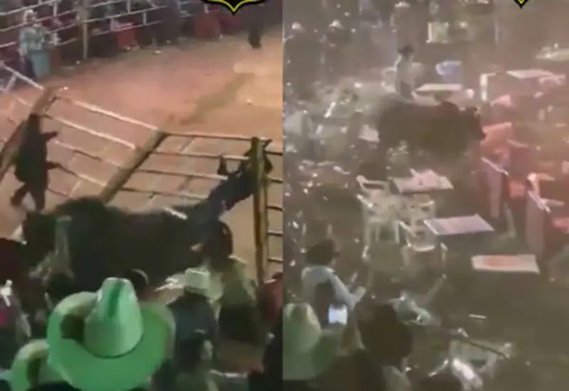 percance_en_jaripeo