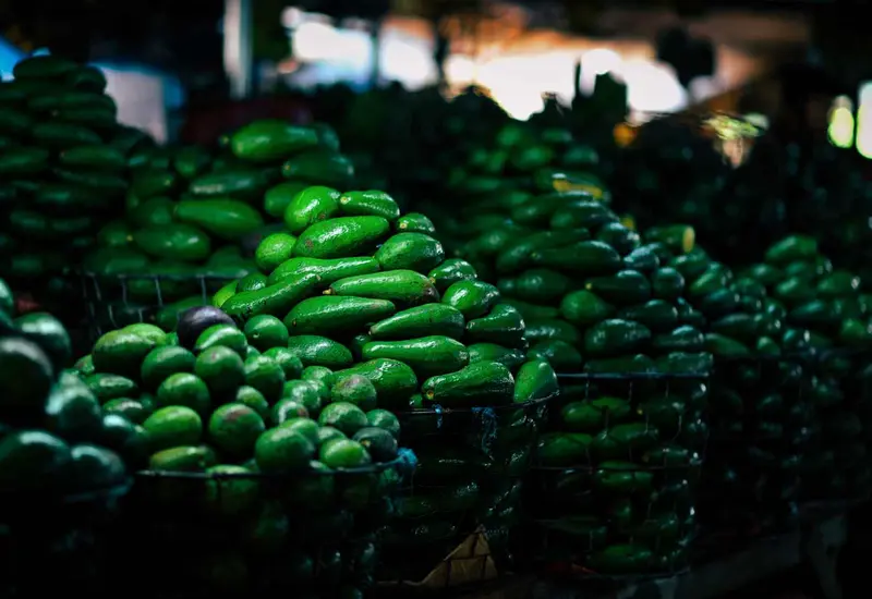 aguacates