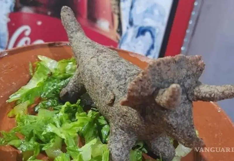 Comida mexicana