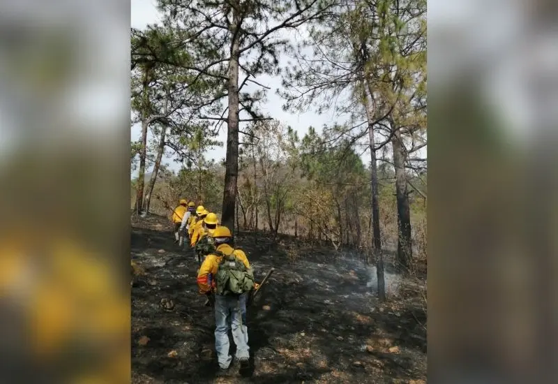 incendios-oaxaca 