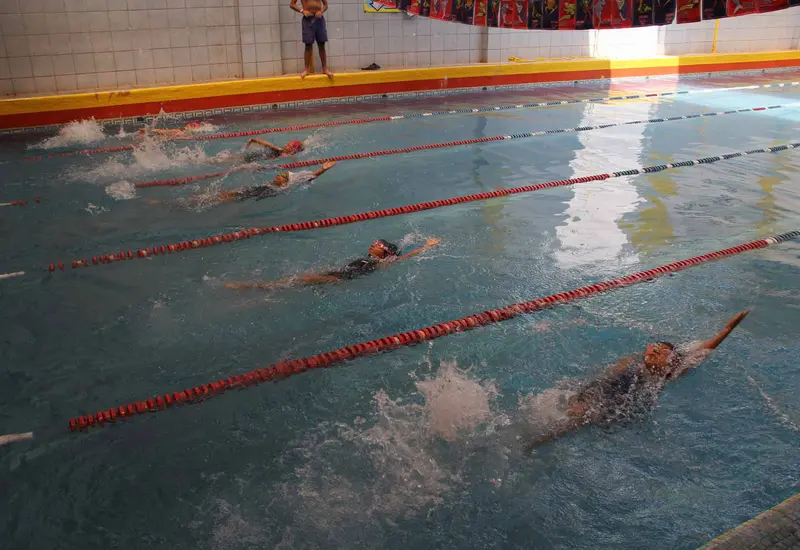 competencia-natacion 