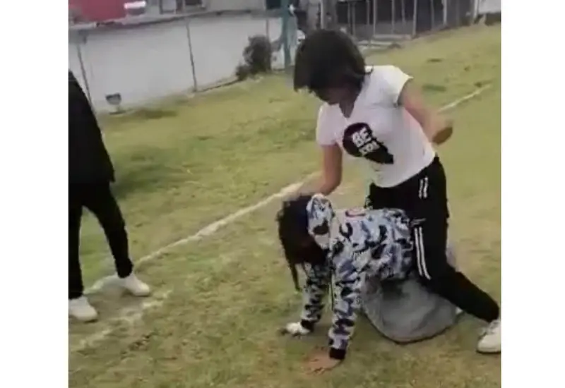 Pelea