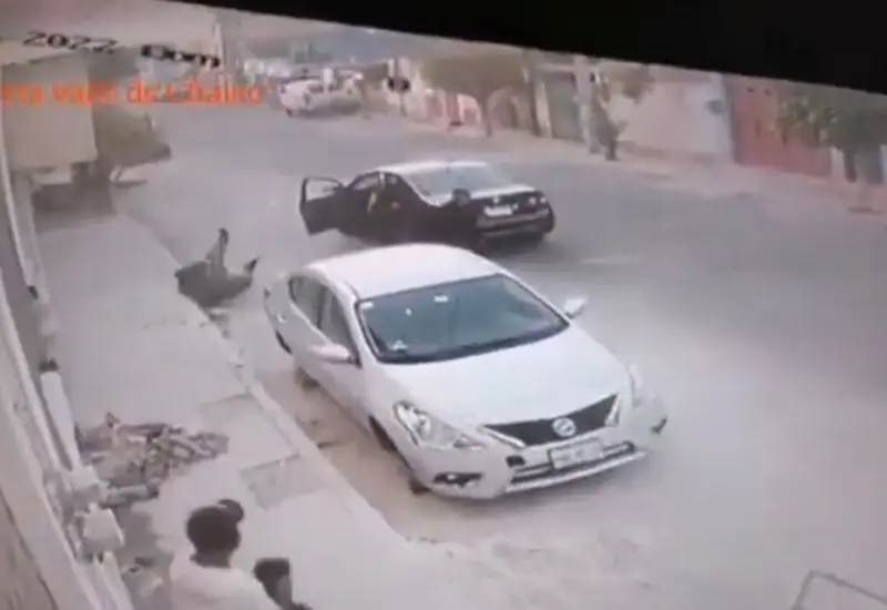 video-de-camara-de-seguridad 