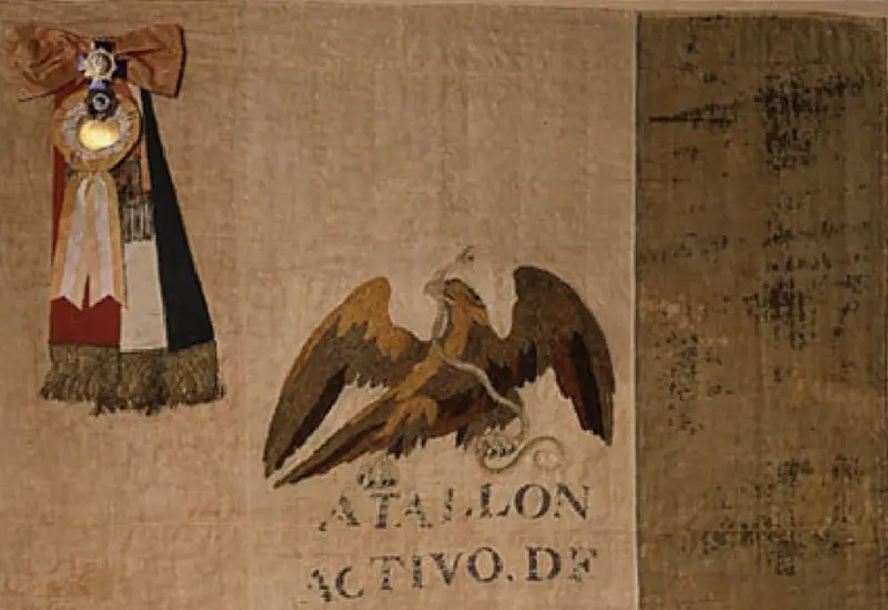 escudo 
