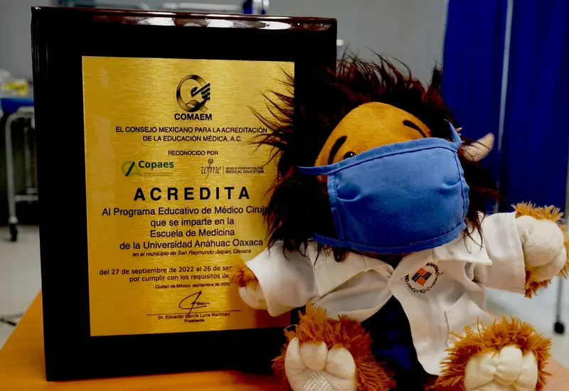 placa-y-peluche