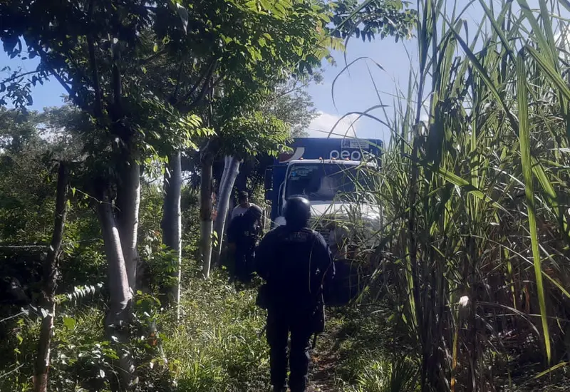 Los presuntos asaltantes se escondieron entre la maleza.