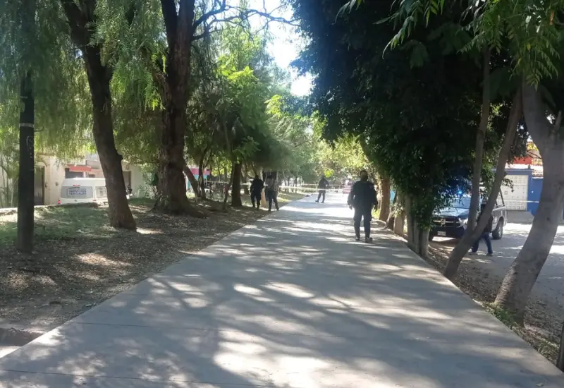 asesinato