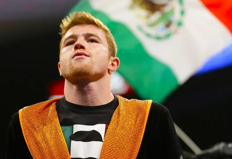 boxeador 
