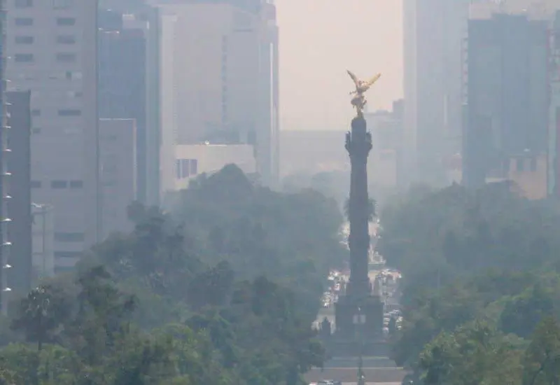 cdmx