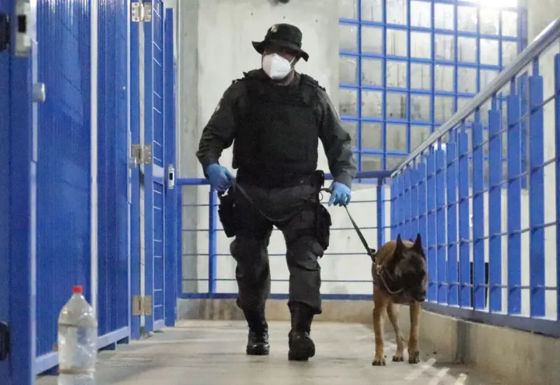 guardia_perro