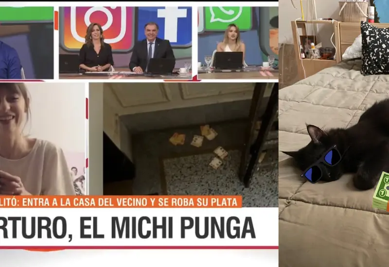 michi_punga