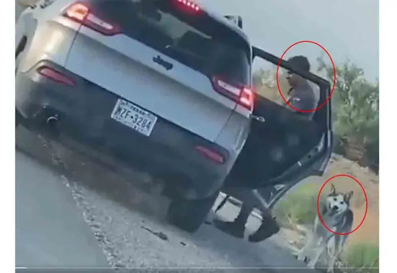 Un sujeto de origen hispano le quita la correa y el collar a un perro husky y lo abandona.