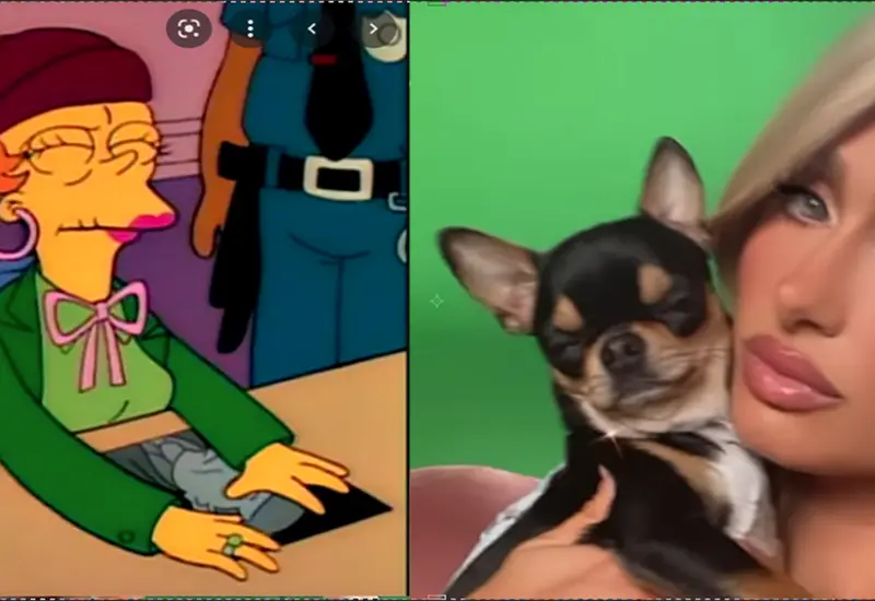 medium_busca_chihuahua