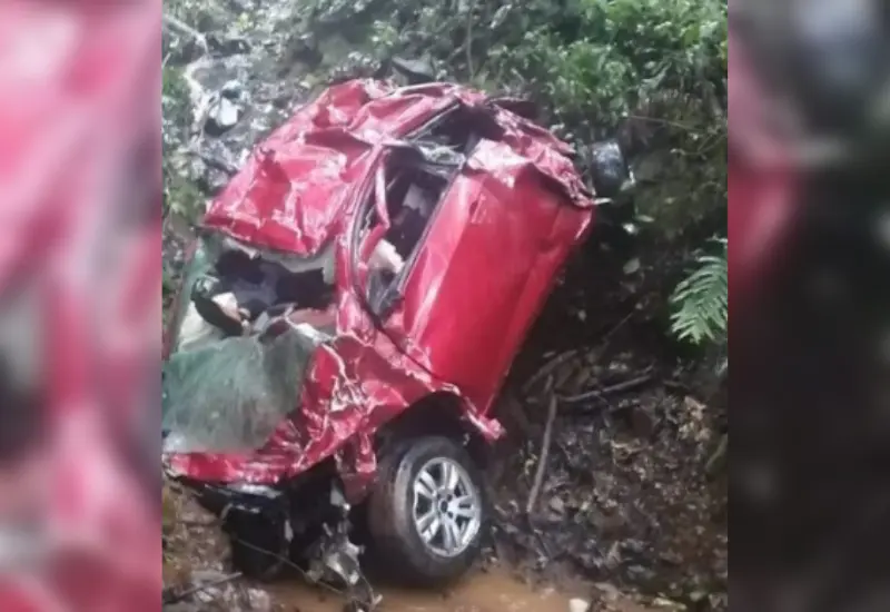 auto-chocado