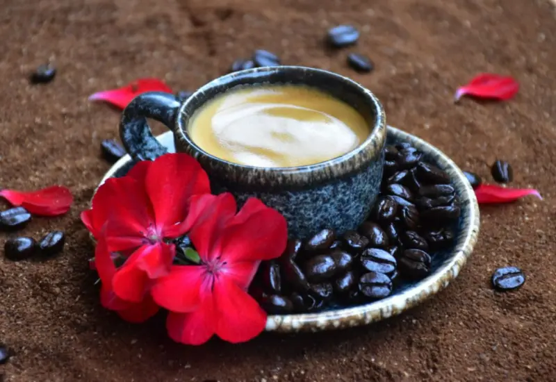 taza-de-cafe