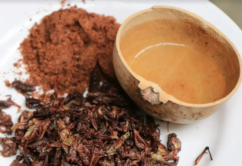 chapulines-sal-de-chile-salsa