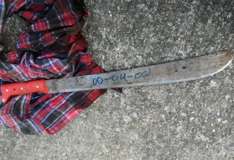 machete