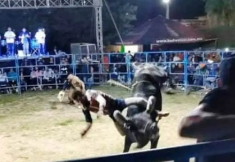jinete-cae-de-toro