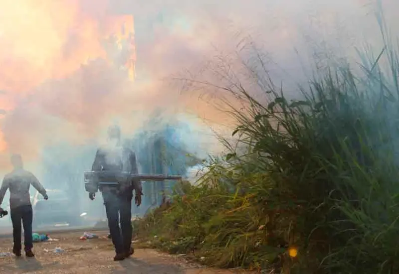 fumigacion