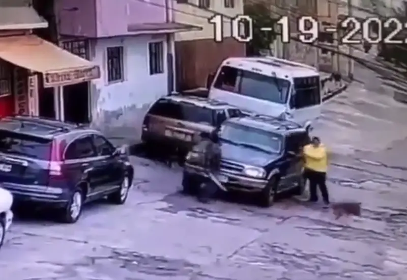 con_machete_atacan_a_perros