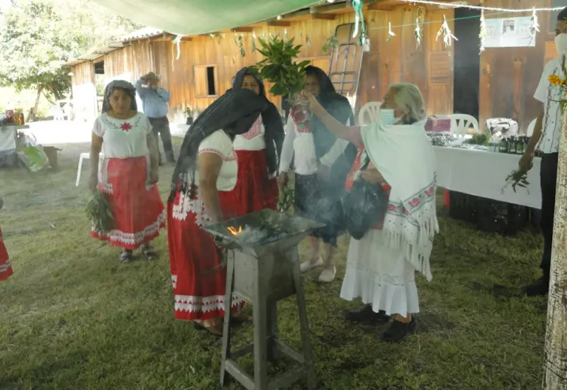 curandera-tradicional