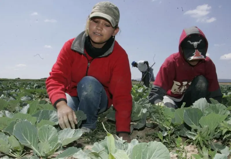 mujer_trabajando_en_campo