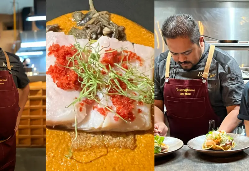chefs-platillo