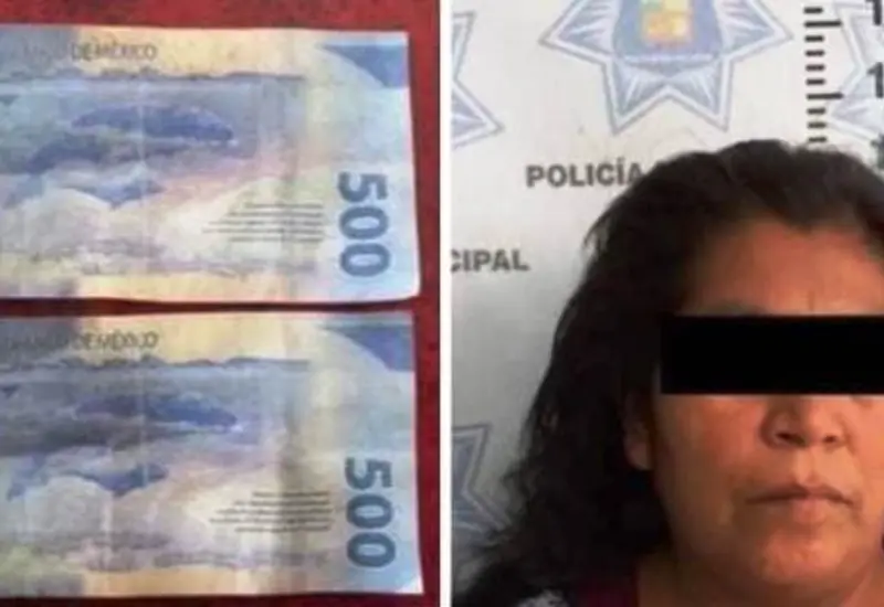 detenida_por_pagar_con_billetes_falsos