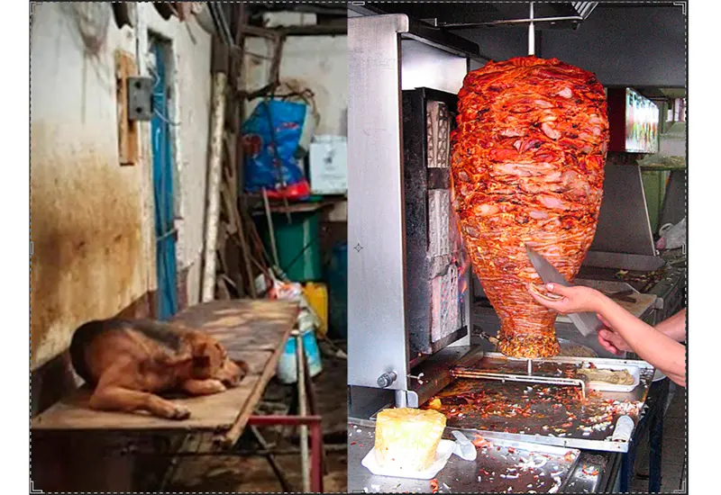 carne_de_perro