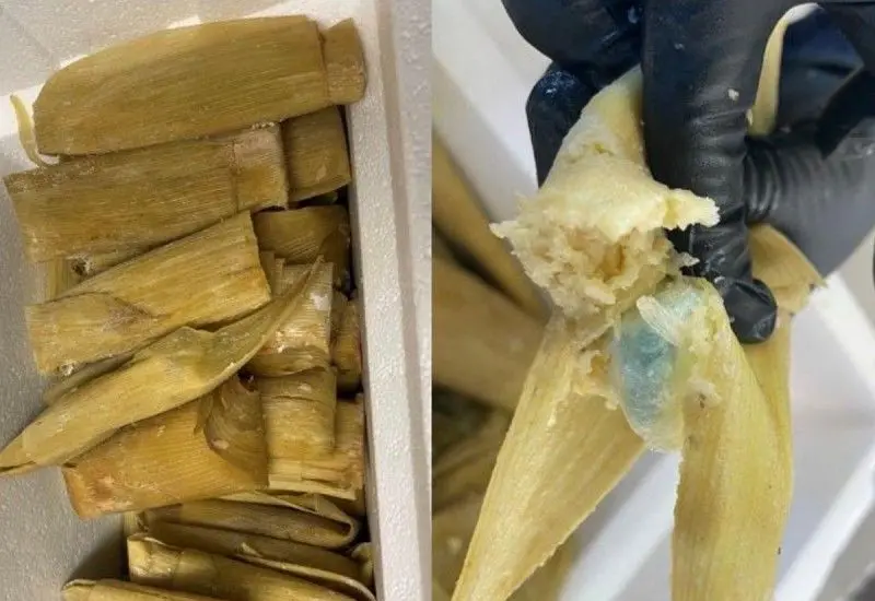 tamales 