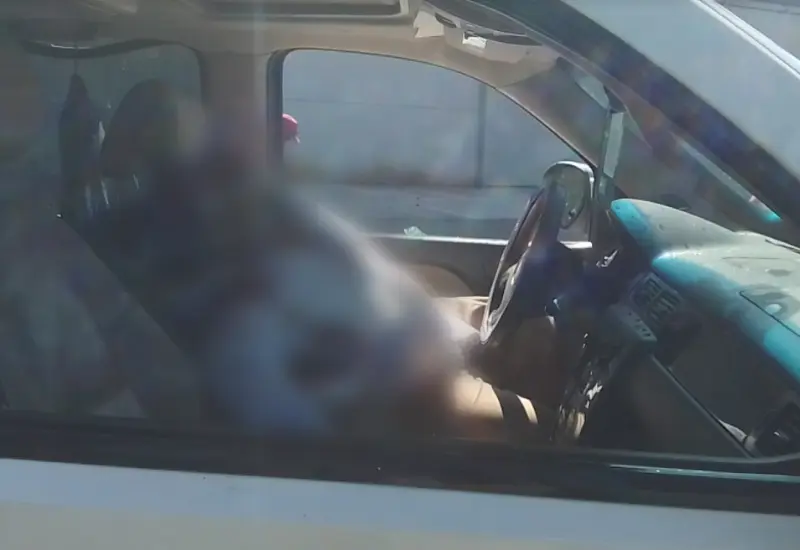 hombre-muerto-en-su-auto