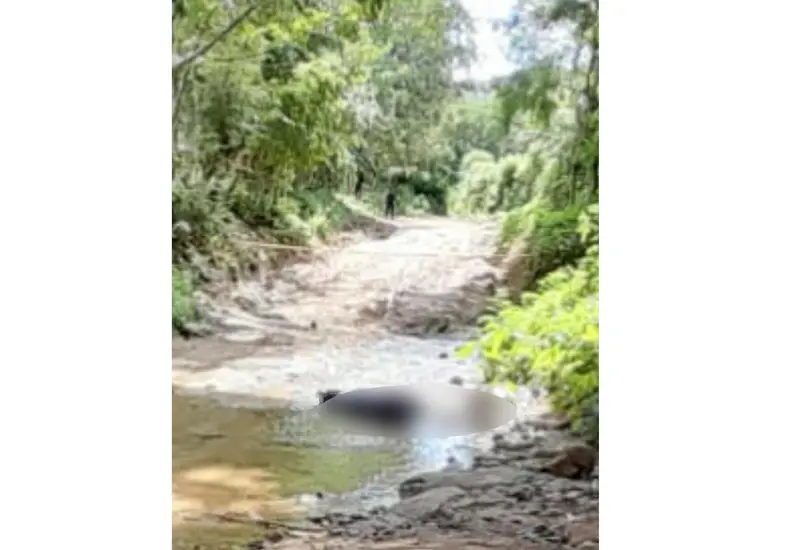 Río Las Hamacas 