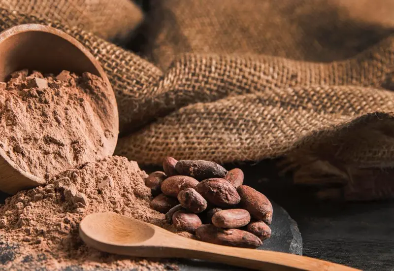 cacao-oaxaca