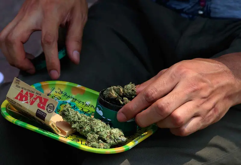 cannabis 