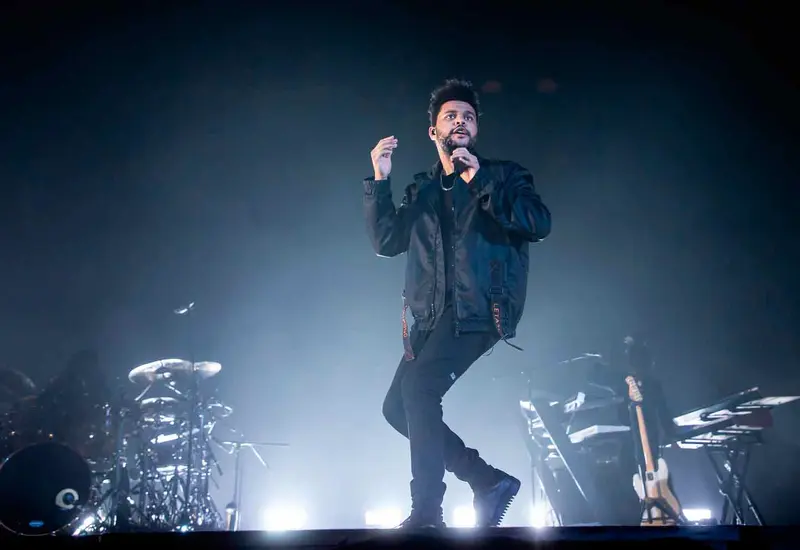 cantante 