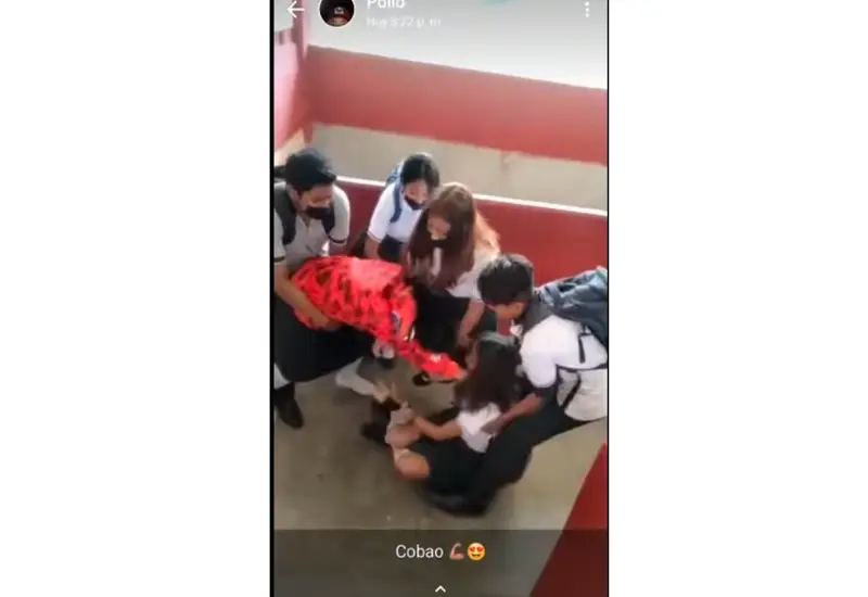 Tienen que separarlas