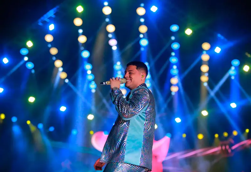 cantante 