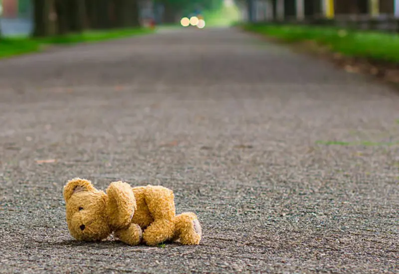 oso-de-peluche 