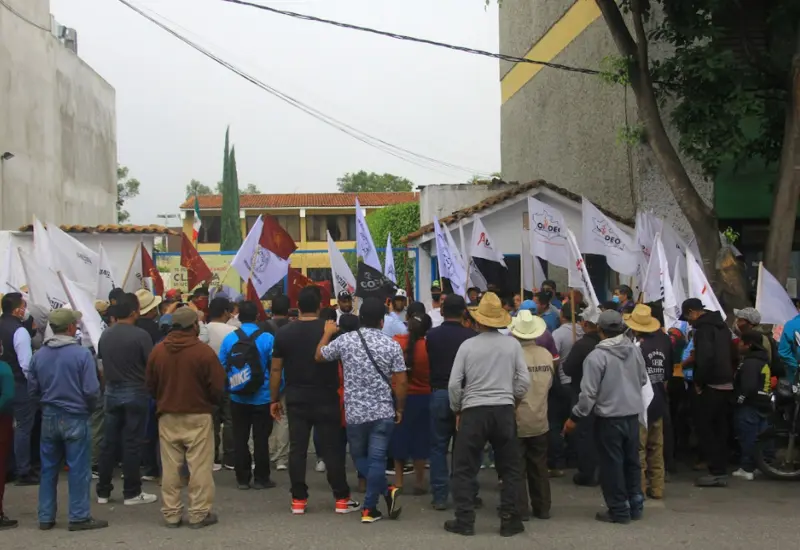 manifestantes-caminando