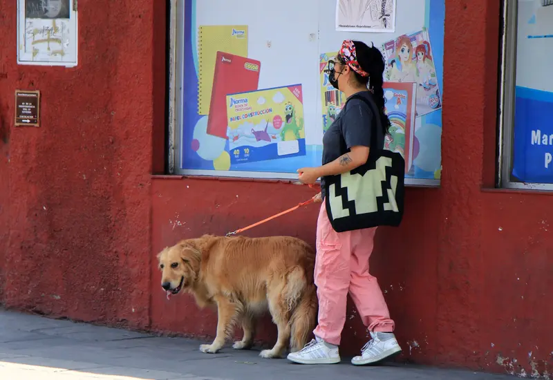 Persona_paseando_perro