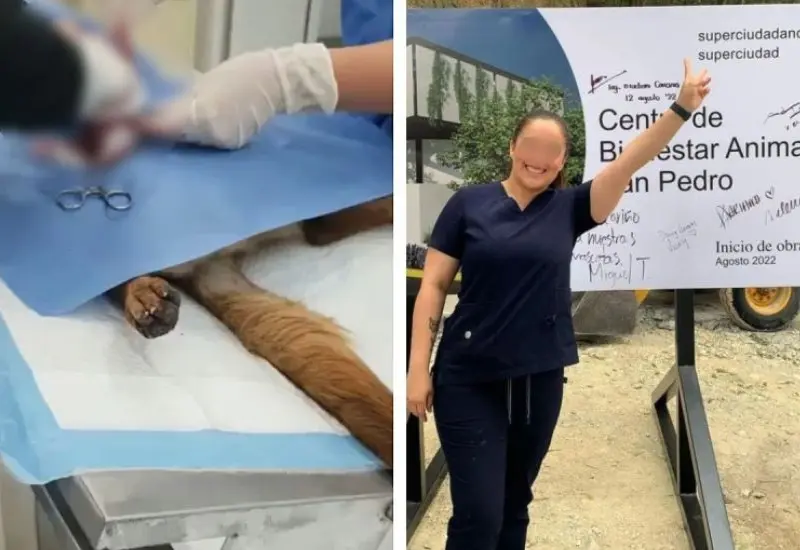 despedidas_por_negligencia_en_operacion_perrita